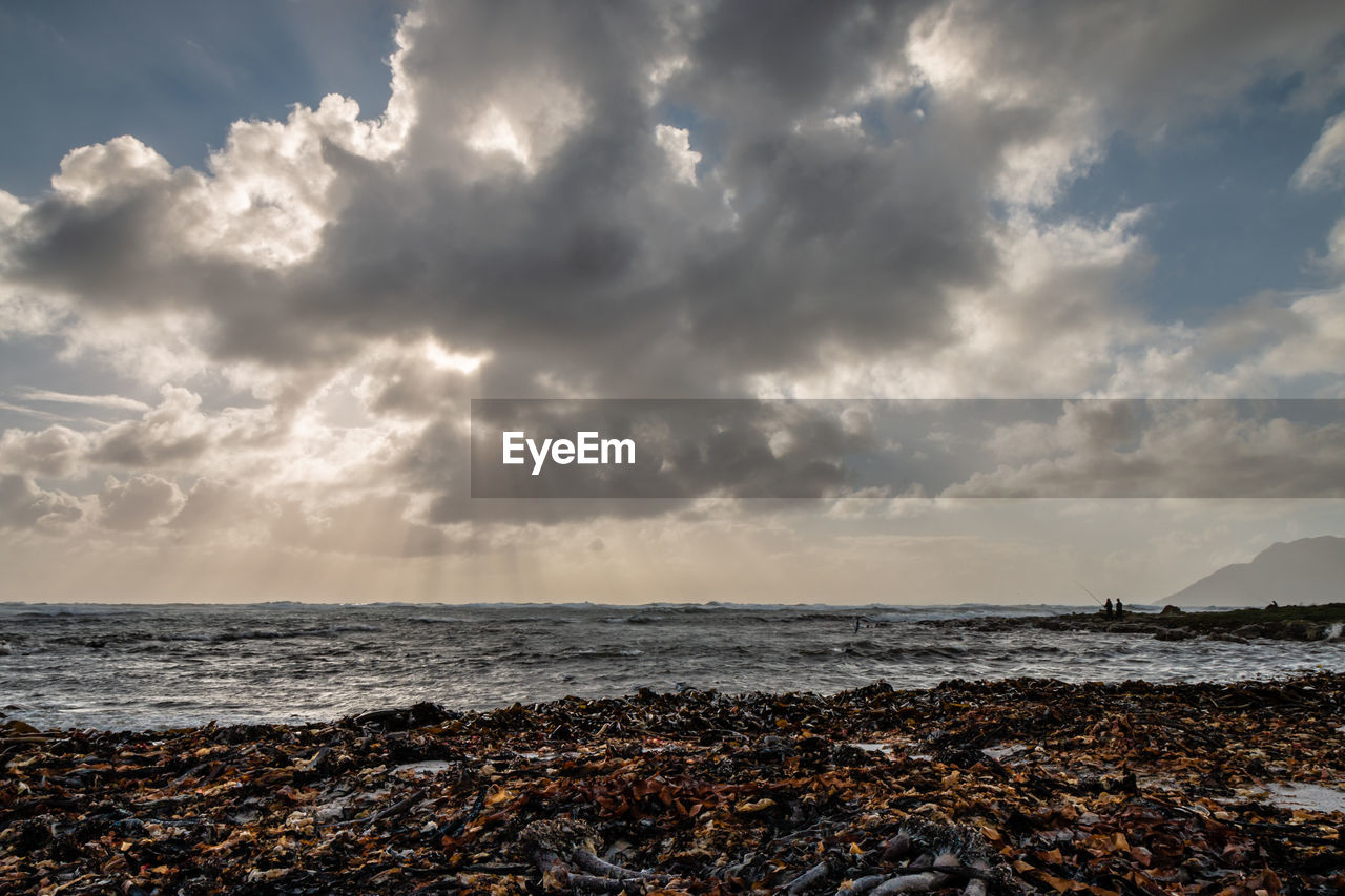 SCENIC VIEW OF BEACH AGAINST CLOUDY SKY