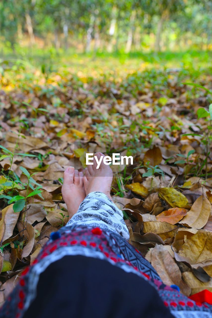 Low section of woman on leaves