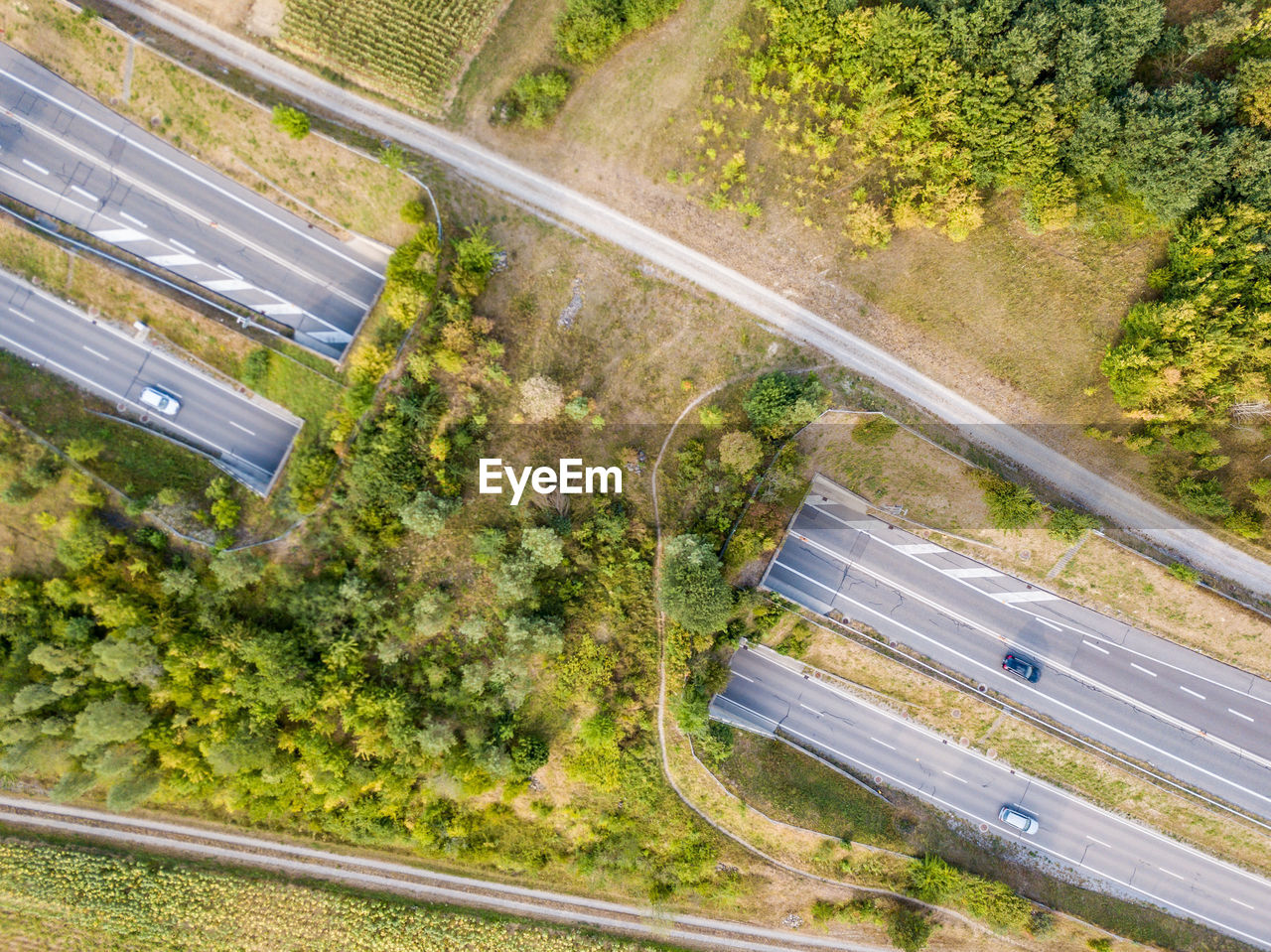 Aerial view of road amidst trees