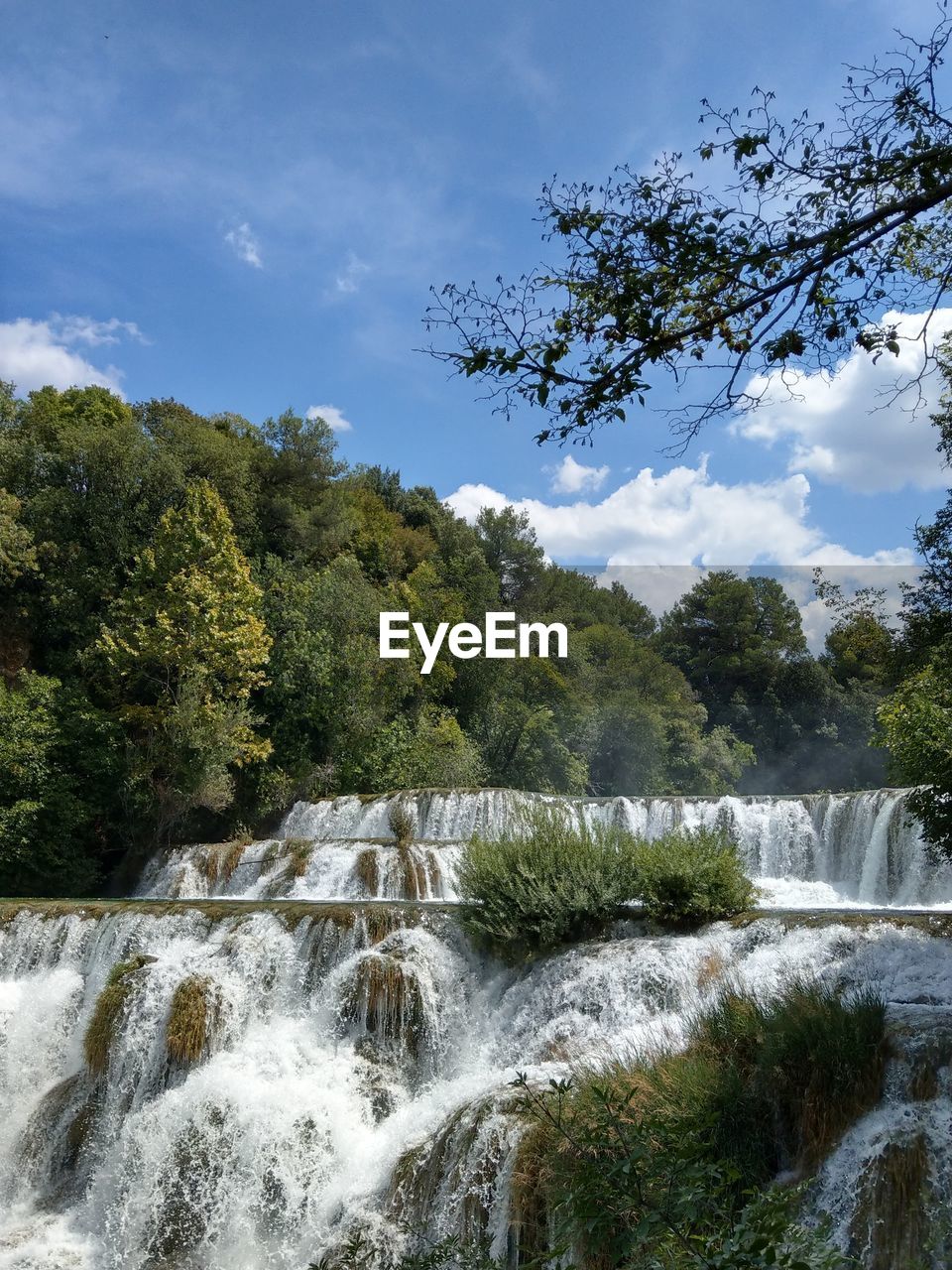 SCENIC VIEW OF WATERFALL IN FOREST