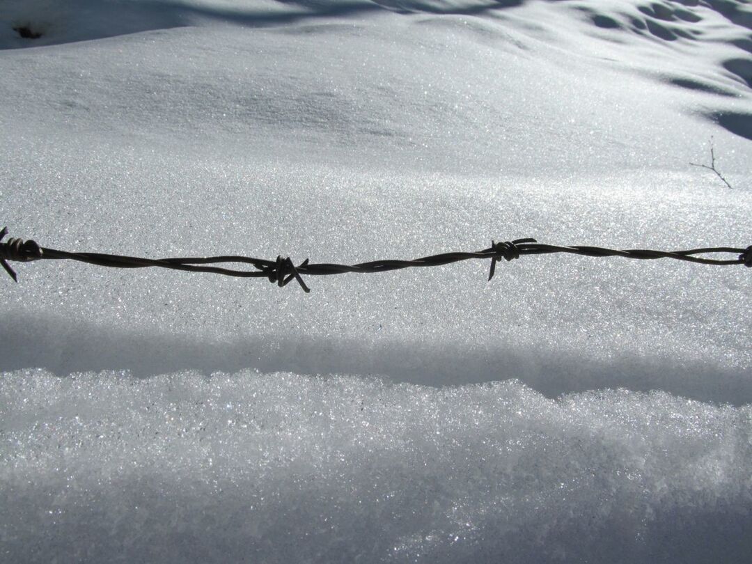 Close-up of barbed wire against snow