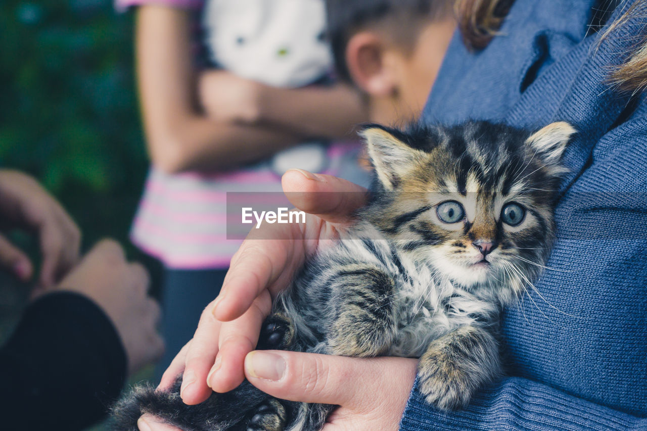 Close-up of cat with woman