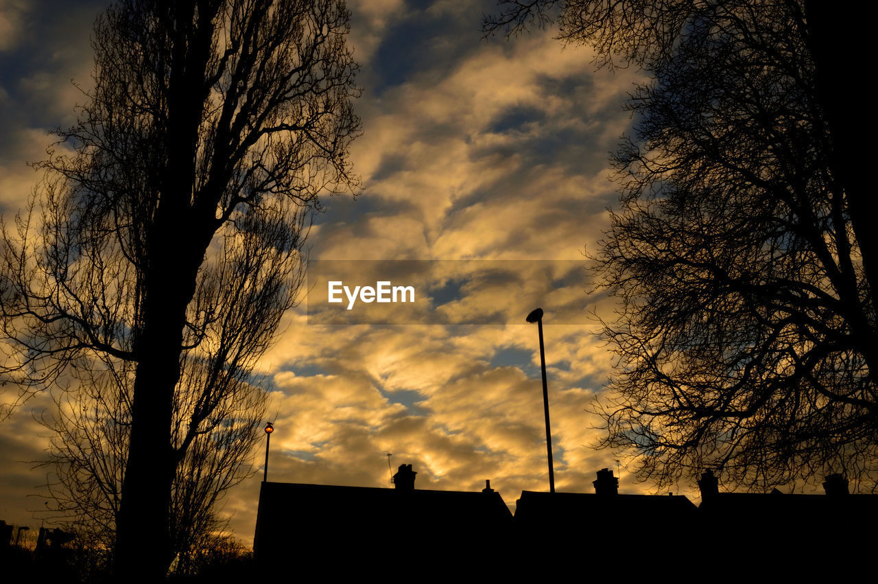 LOW ANGLE VIEW OF SILHOUETTE TREE AGAINST SKY