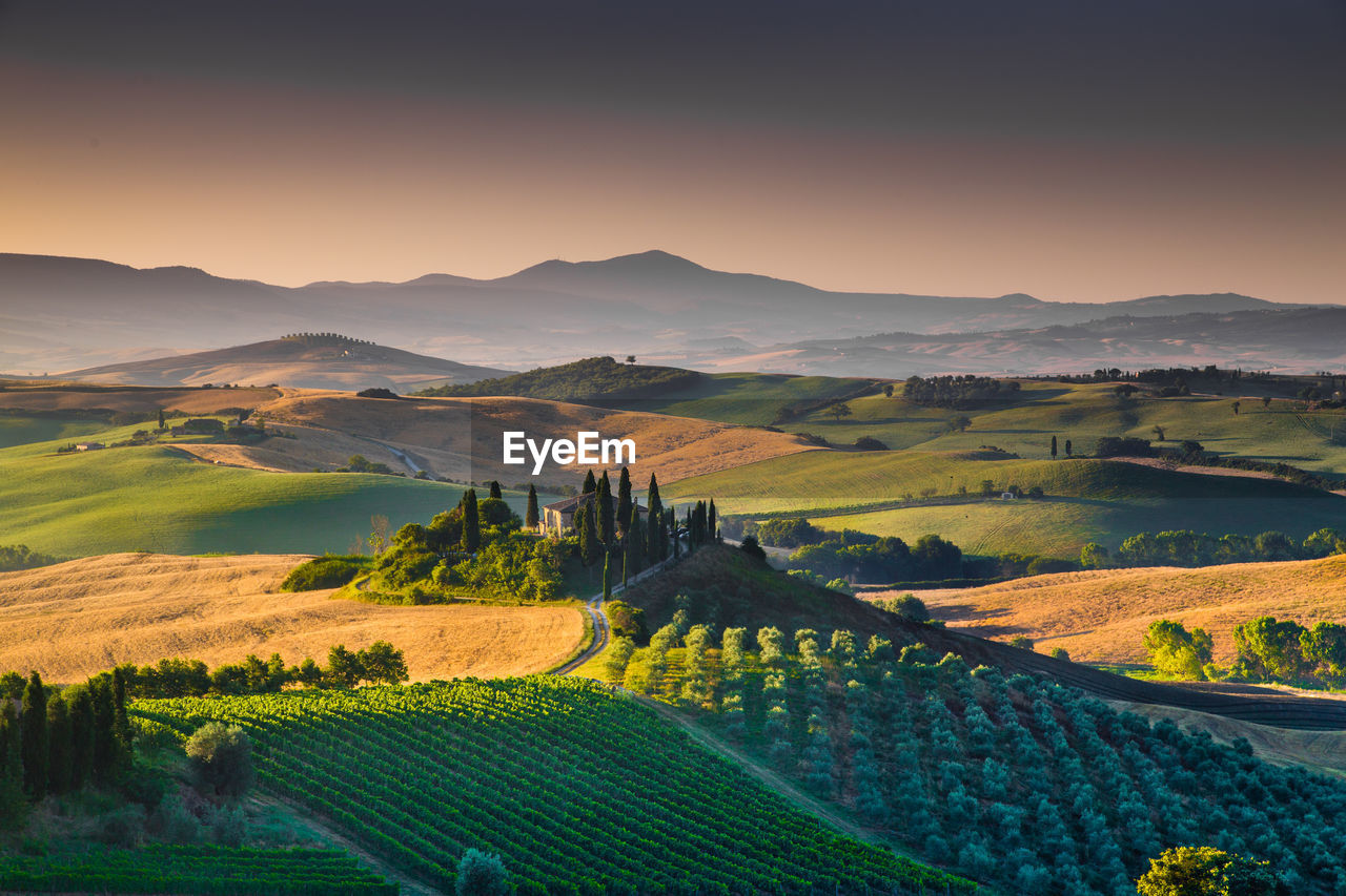 Scenic view of field against sky during sunset