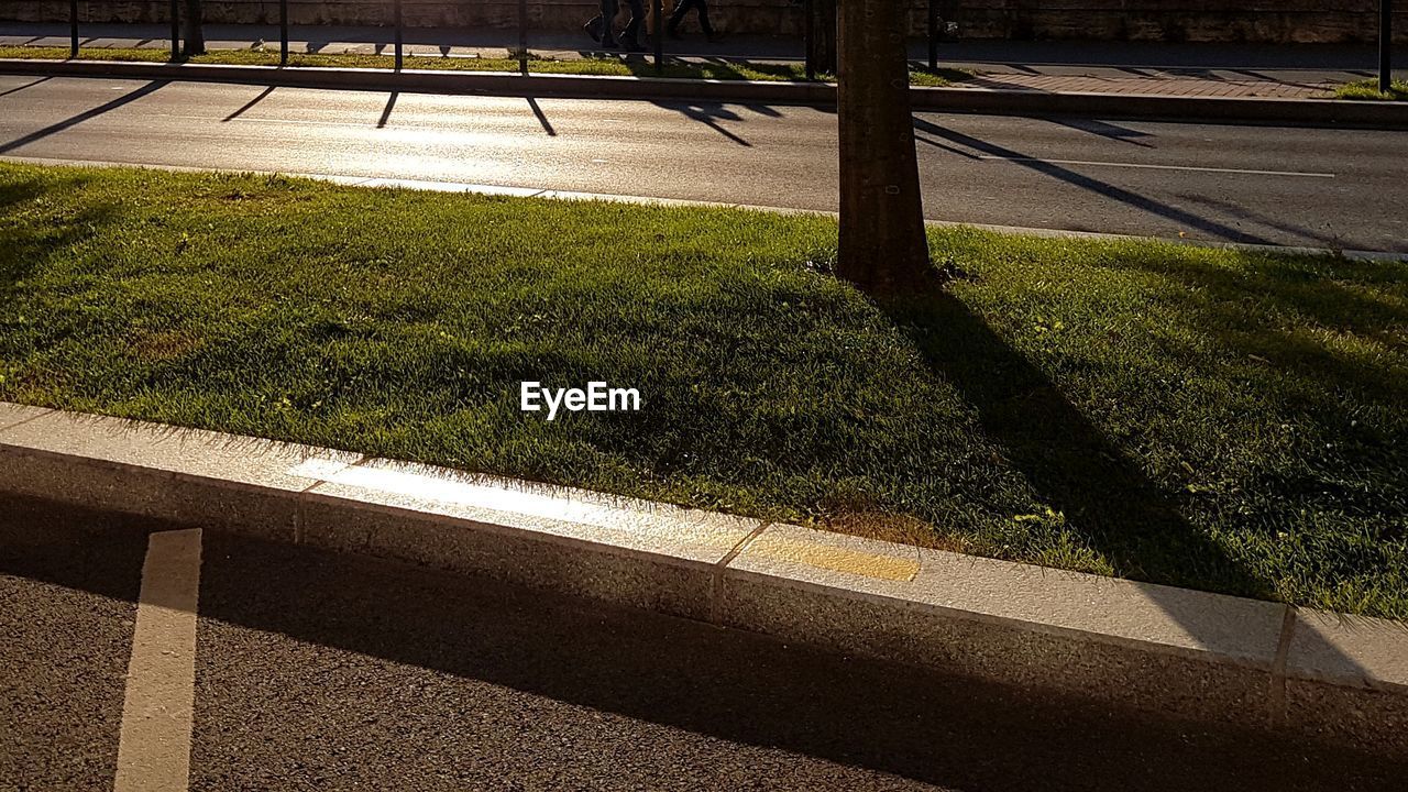 SHADOW OF GRASS ON LANDSCAPE