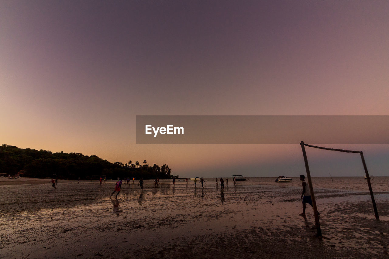 SCENIC VIEW OF BEACH AGAINST CLEAR SKY