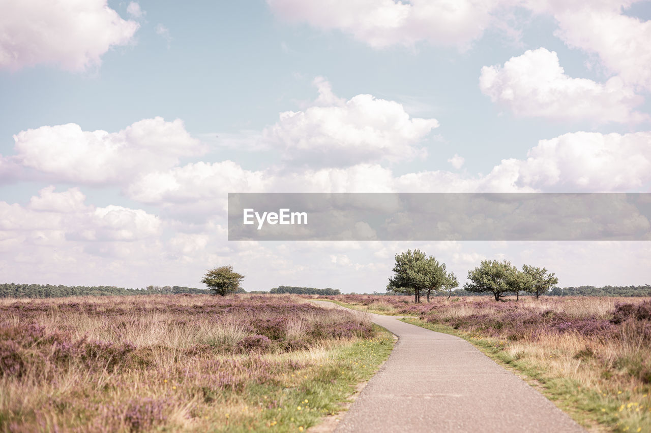 sky, landscape, cloud, plant, environment, prairie, road, nature, rural area, field, grass, plain, the way forward, grassland, scenics - nature, horizon, beauty in nature, land, transportation, no people, tranquility, steppe, tree, hill, rural scene, day, footpath, natural environment, soil, non-urban scene, dirt road, tranquil scene, diminishing perspective, outdoors, dirt, savanna, travel, vanishing point, meadow, agriculture, horizon over land, remote, growth, travel destinations, country road