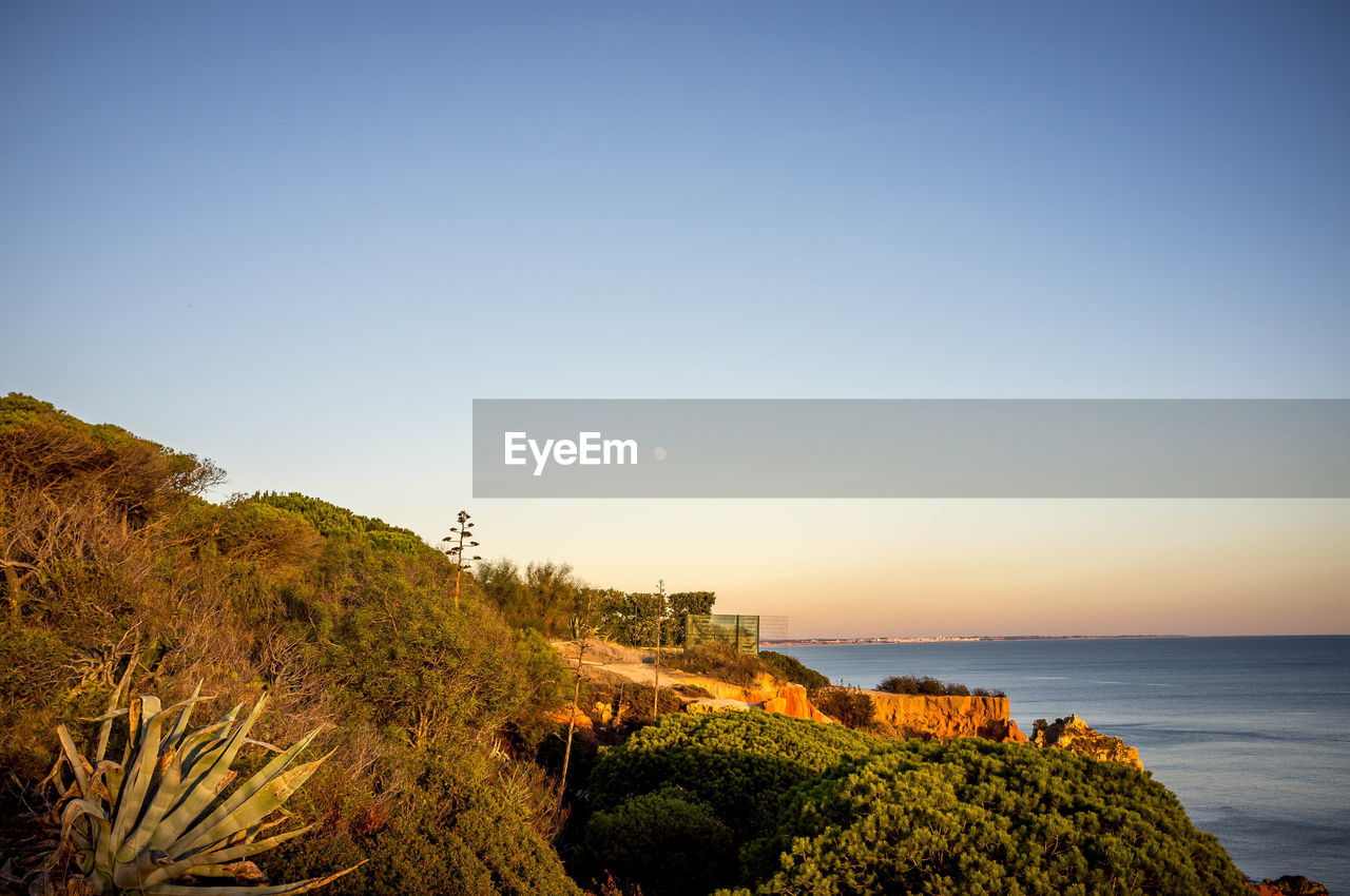 Scenic view of sea against clear blue sky