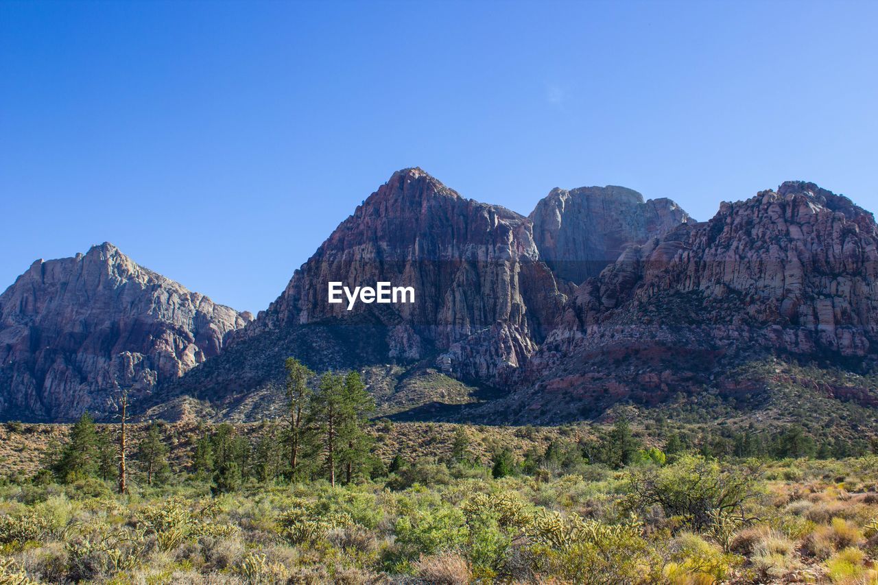 mountain, landscape, wilderness, scenics - nature, environment, sky, land, nature, beauty in nature, plant, rock, travel destinations, mountain range, clear sky, travel, blue, no people, non-urban scene, tree, national park, semi-arid, plateau, rock formation, outdoors, ridge, tourism, sunny, desert, tranquil scene, tranquility, natural environment, valley, grass, day, mountain peak, geology, park, panoramic, adventure, remote, forest, animal wildlife, extreme terrain