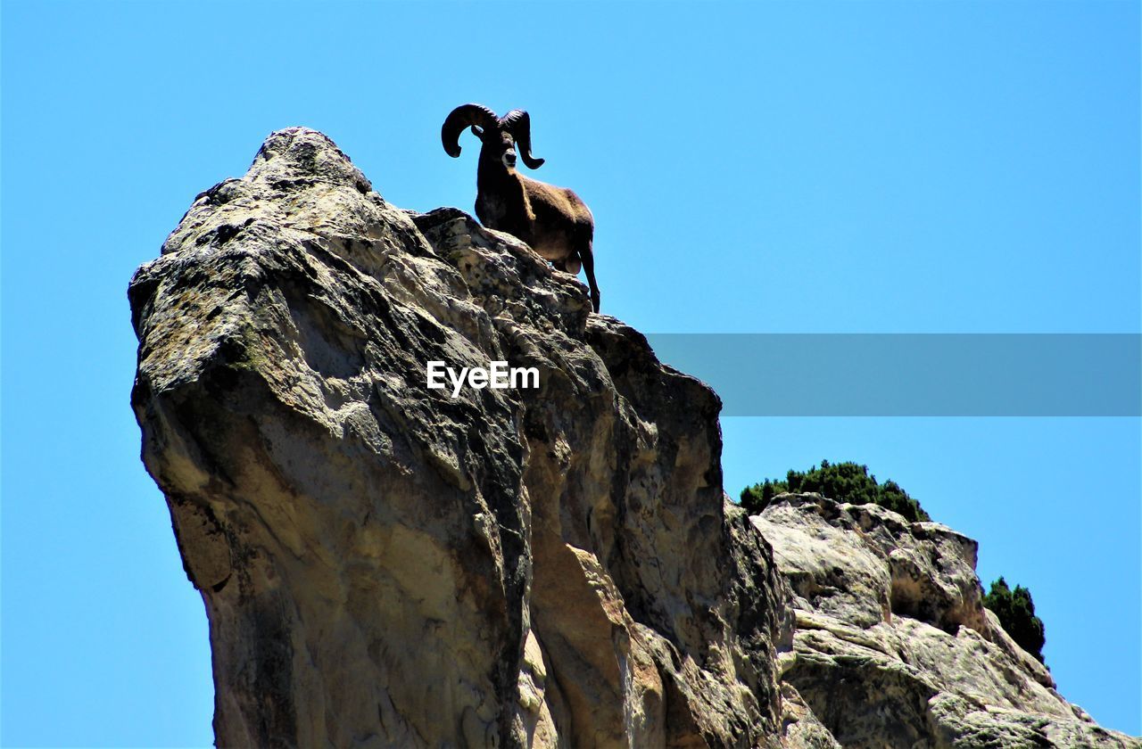 LOW ANGLE VIEW OF MAN SURFING ON ROCK AGAINST SKY