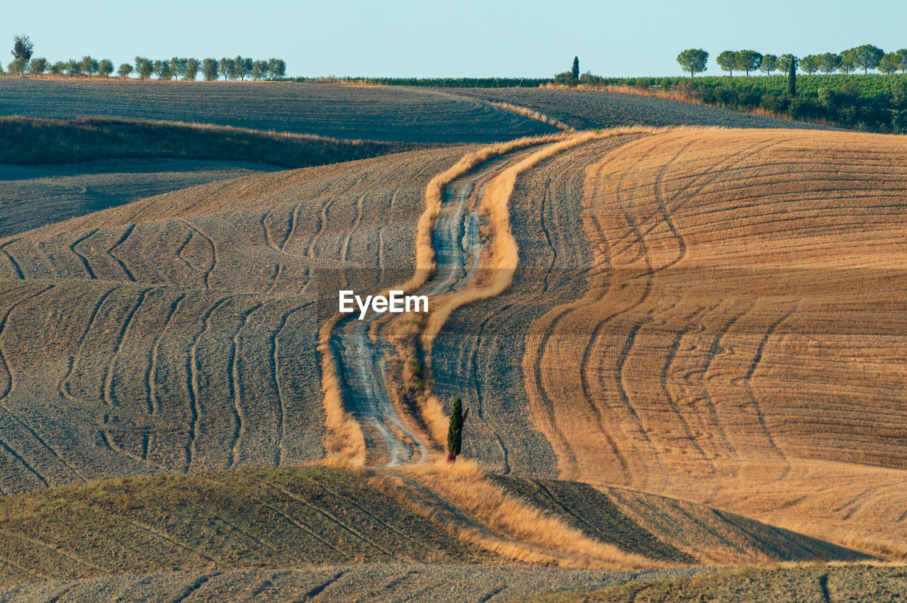 Wavy hills in tuscan farmland