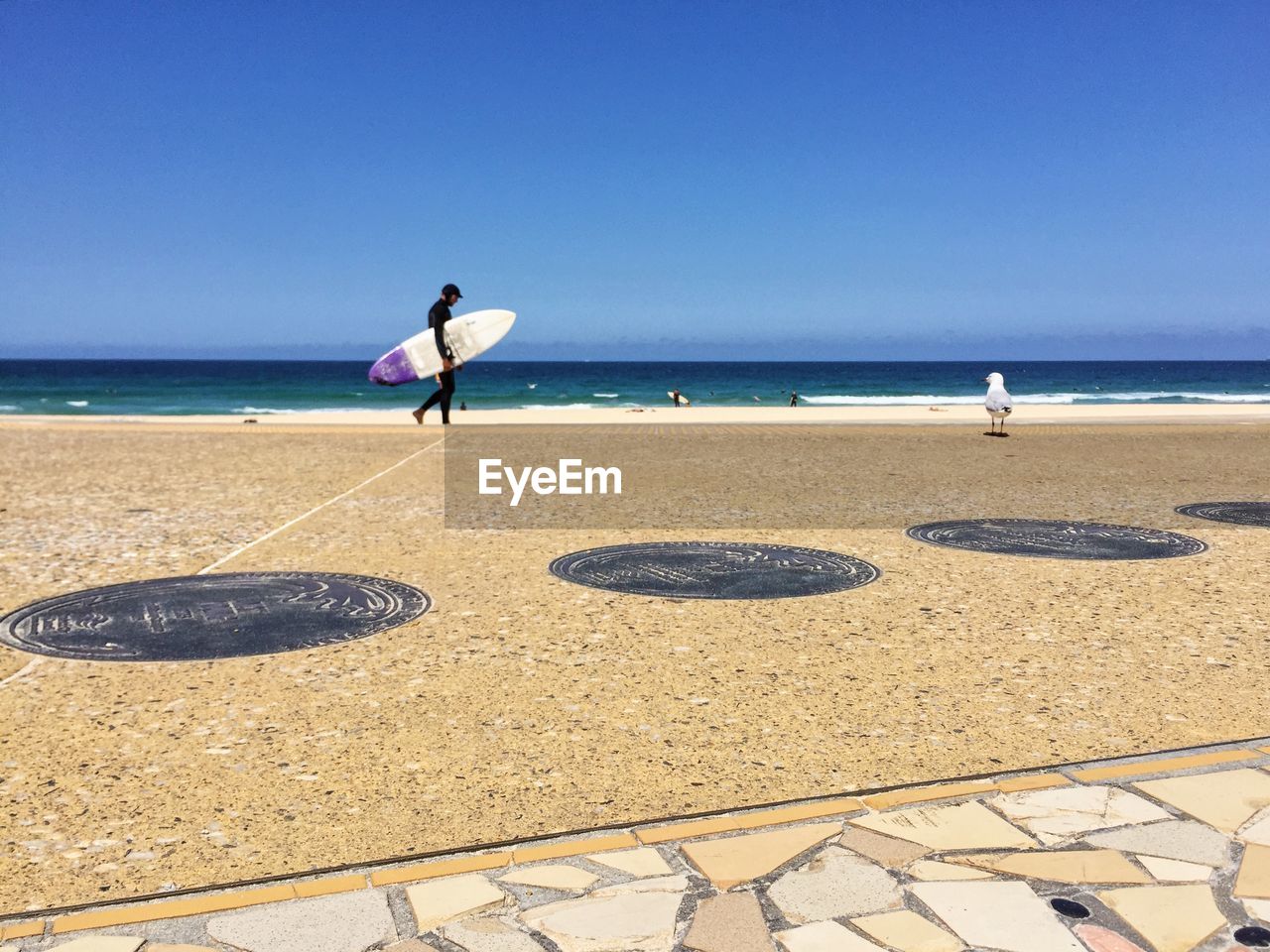 Seagull by man carrying surfboard on beach against clear sky