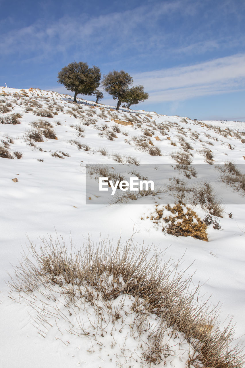 Snow falling on  in ma'an governorate in jordan