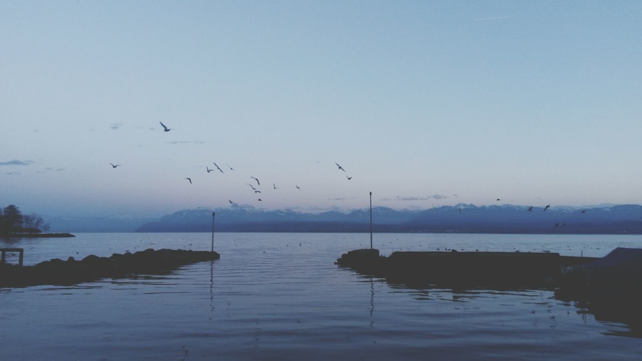 Lake and groyne at dawn