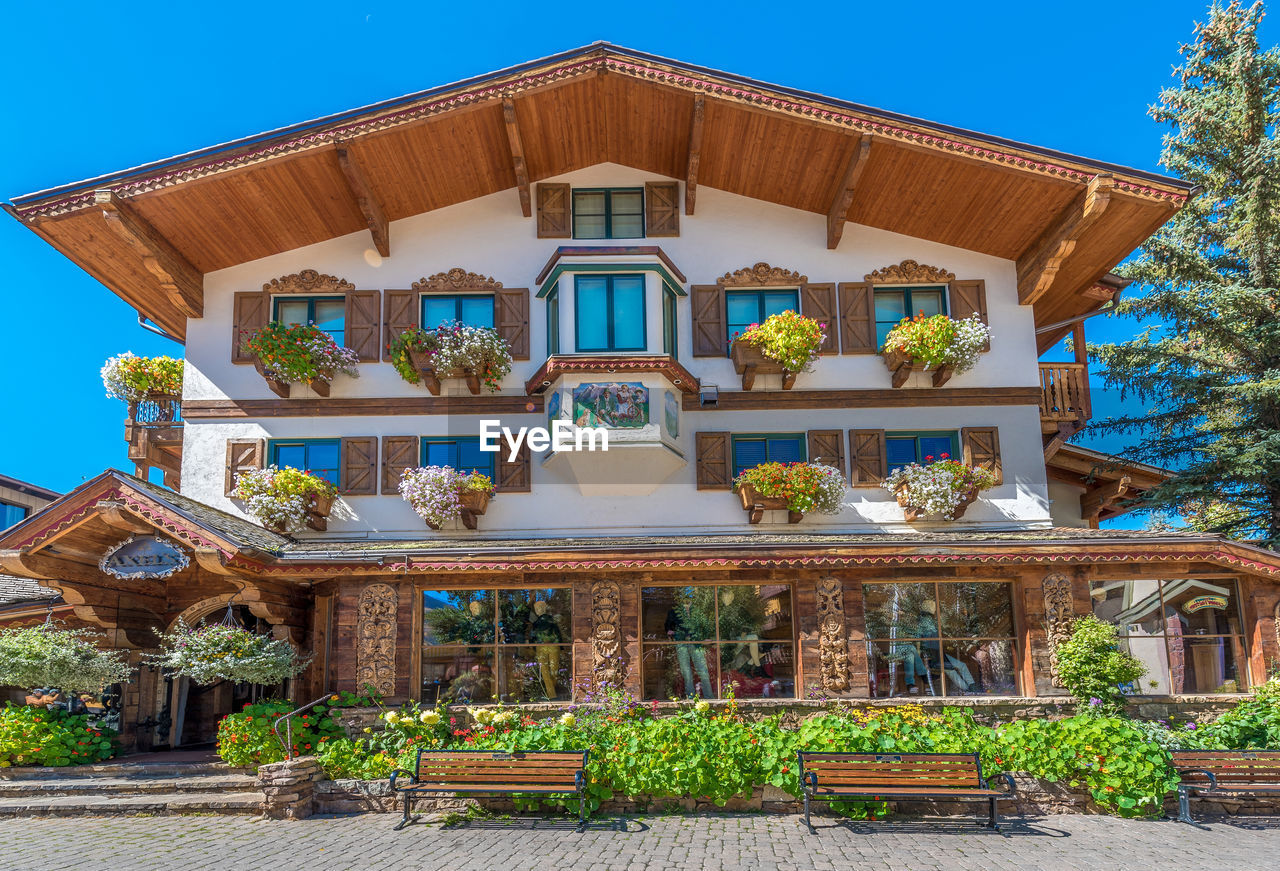 LOW ANGLE VIEW OF POTTED PLANTS ON BUILDING