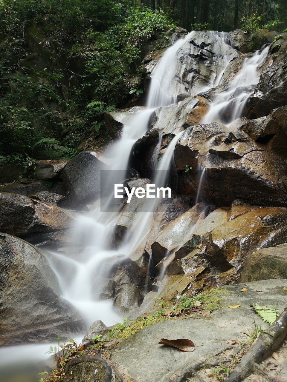 WATERFALL IN FOREST