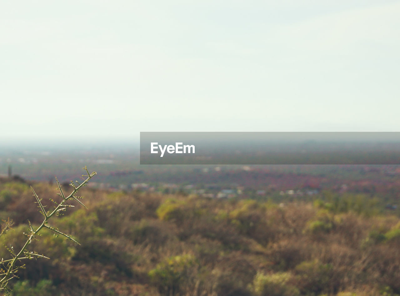 SCENIC VIEW OF LAND AGAINST SKY