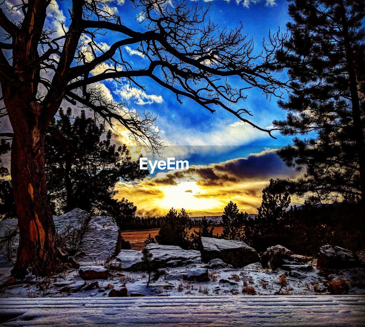 SCENIC VIEW OF SNOW COVERED LANDSCAPE AGAINST SKY