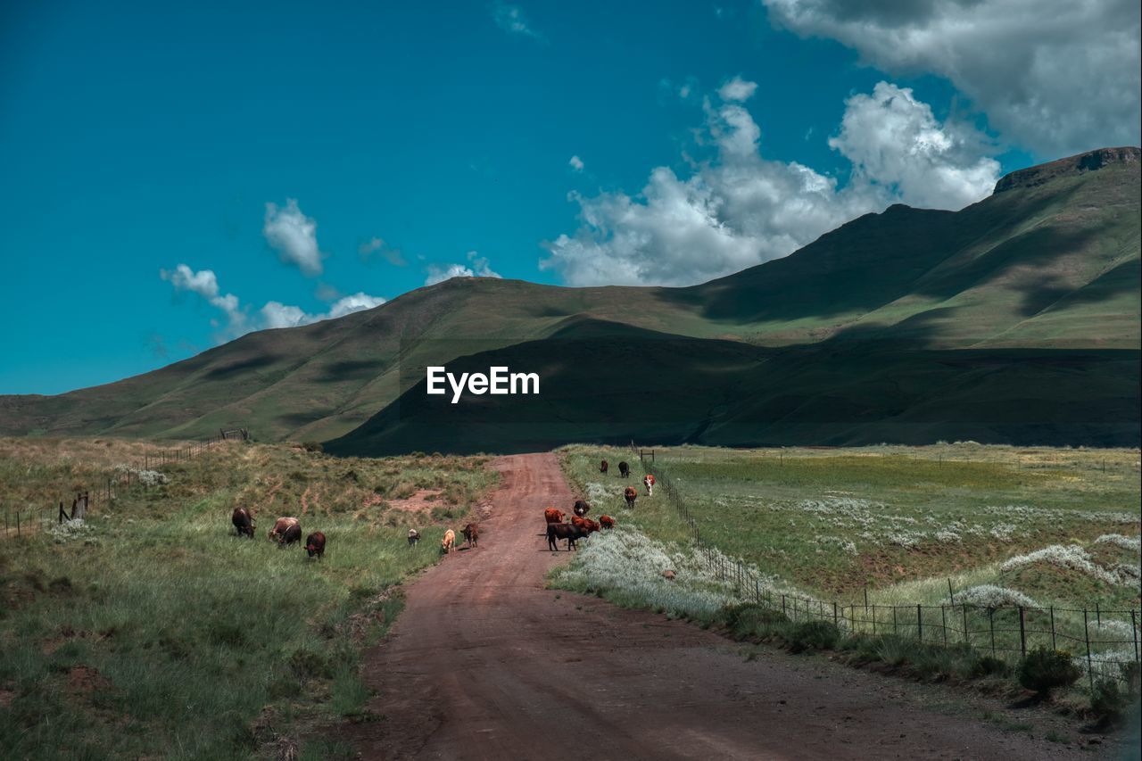 Scenic view of road by mountains against sky