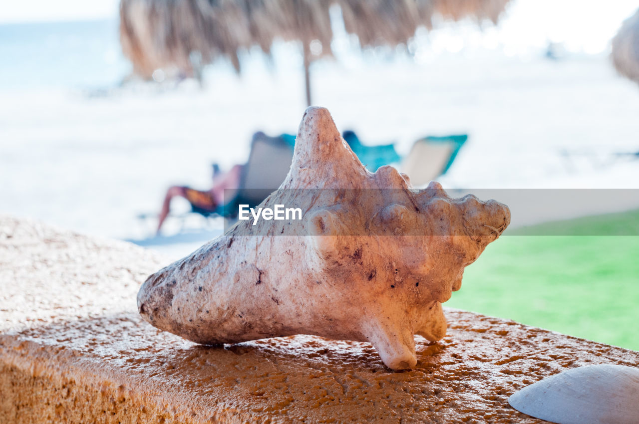 Close-up of rusty metal on beach