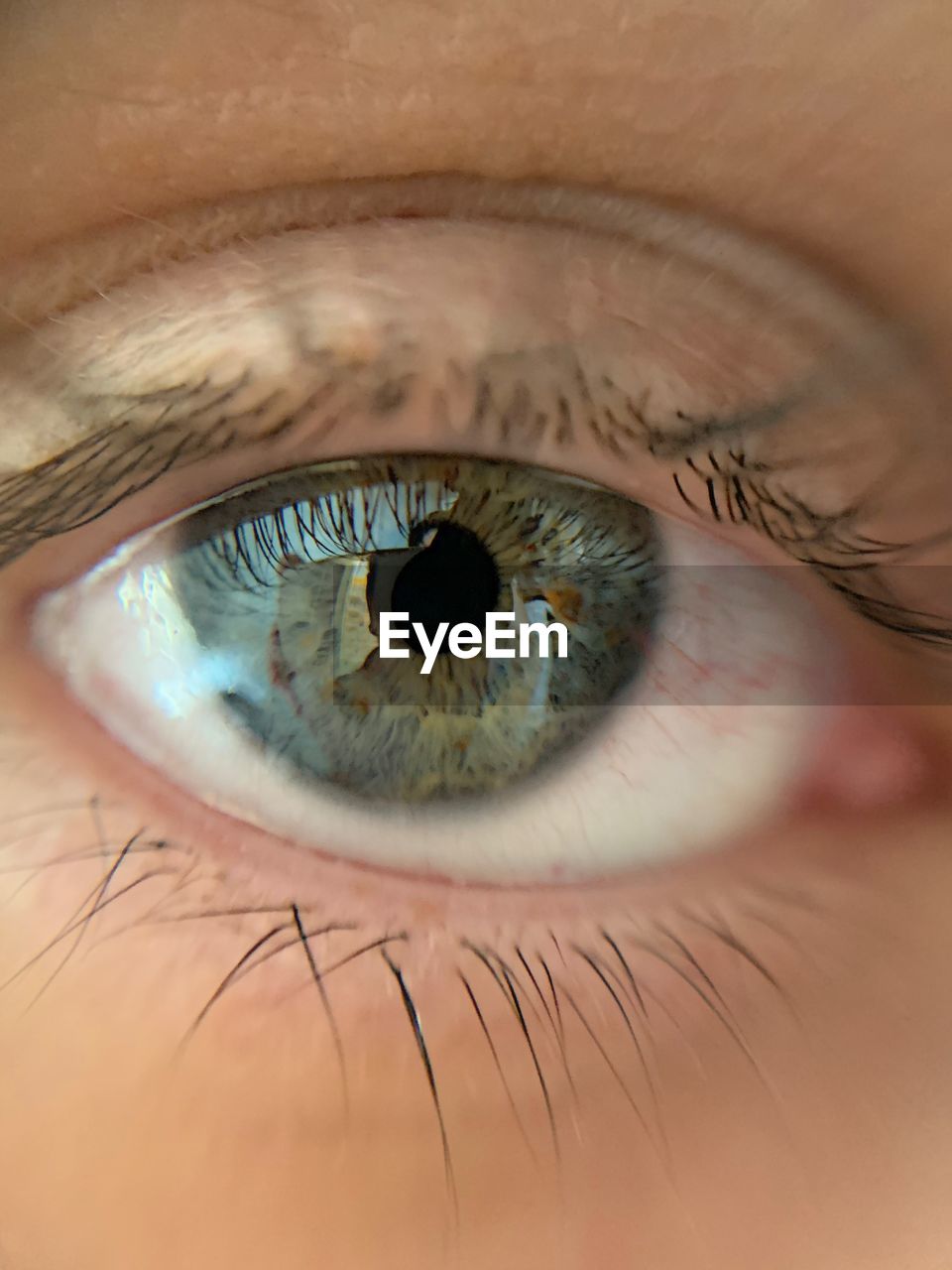 CLOSE-UP OF PERSON EYE