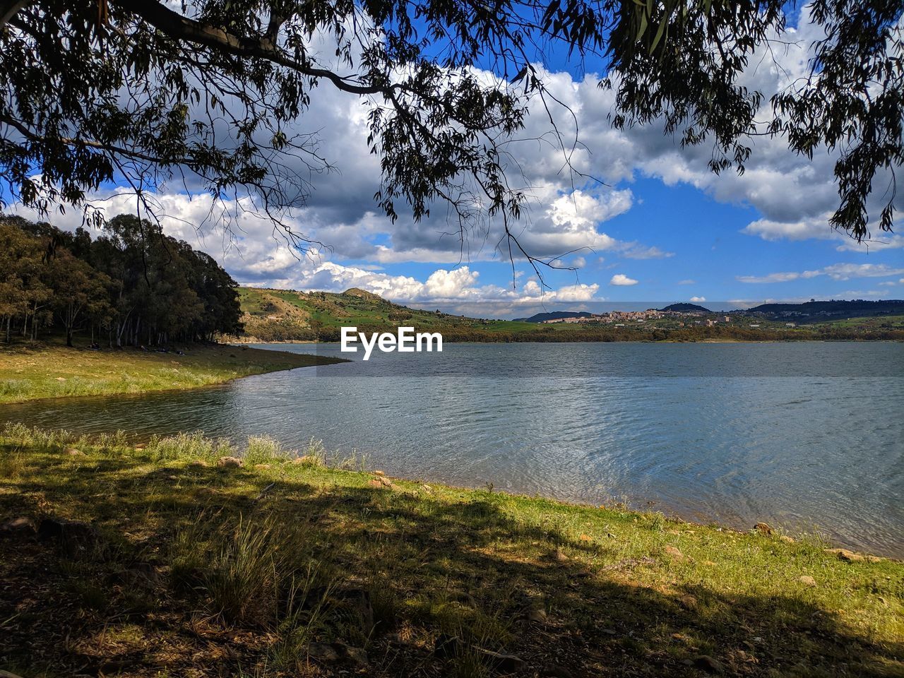 SCENIC VIEW OF LAKE BY TREE AGAINST SKY