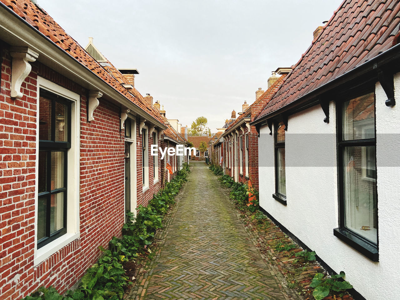 Empty alley amidst buildings in city