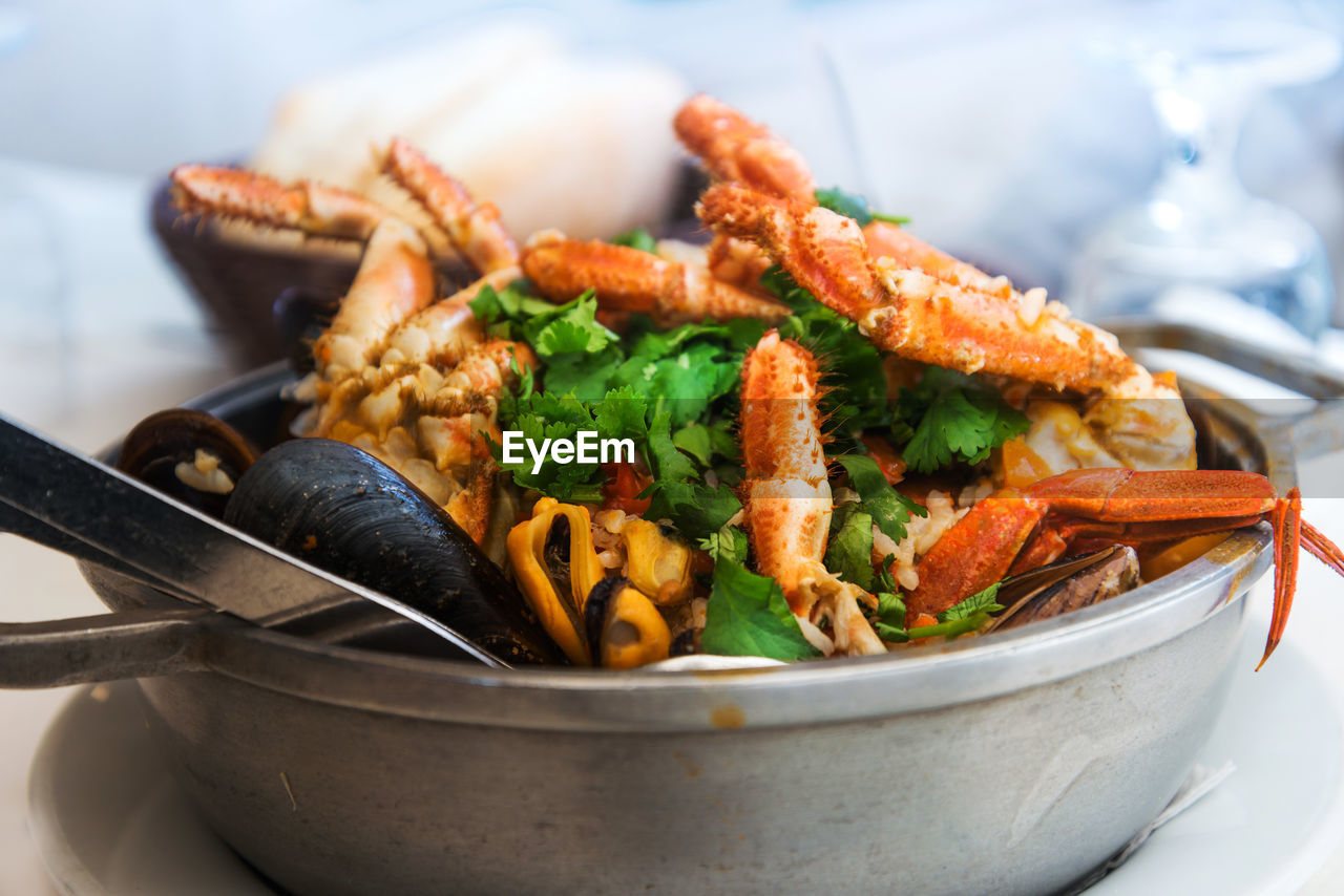 Close-up of food served in plate