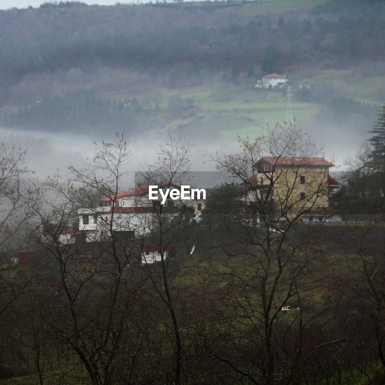 Houses on field during foggy weather