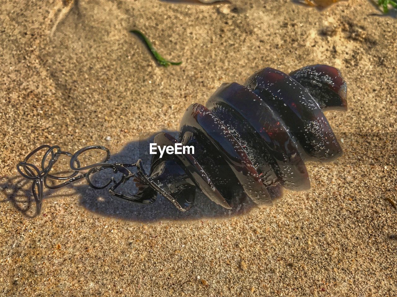 CLOSE-UP OF TURTLE ON SAND