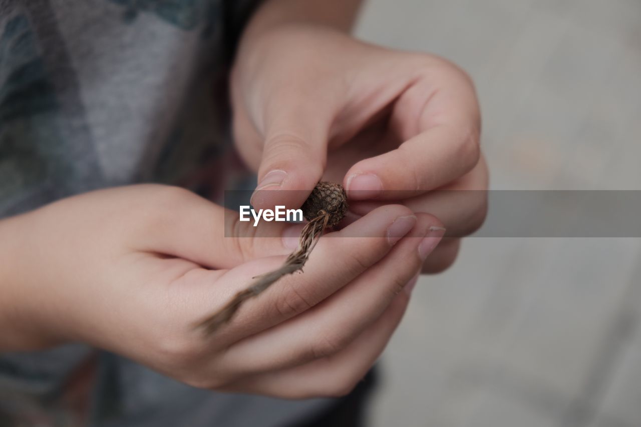 Midsection of person holding plant