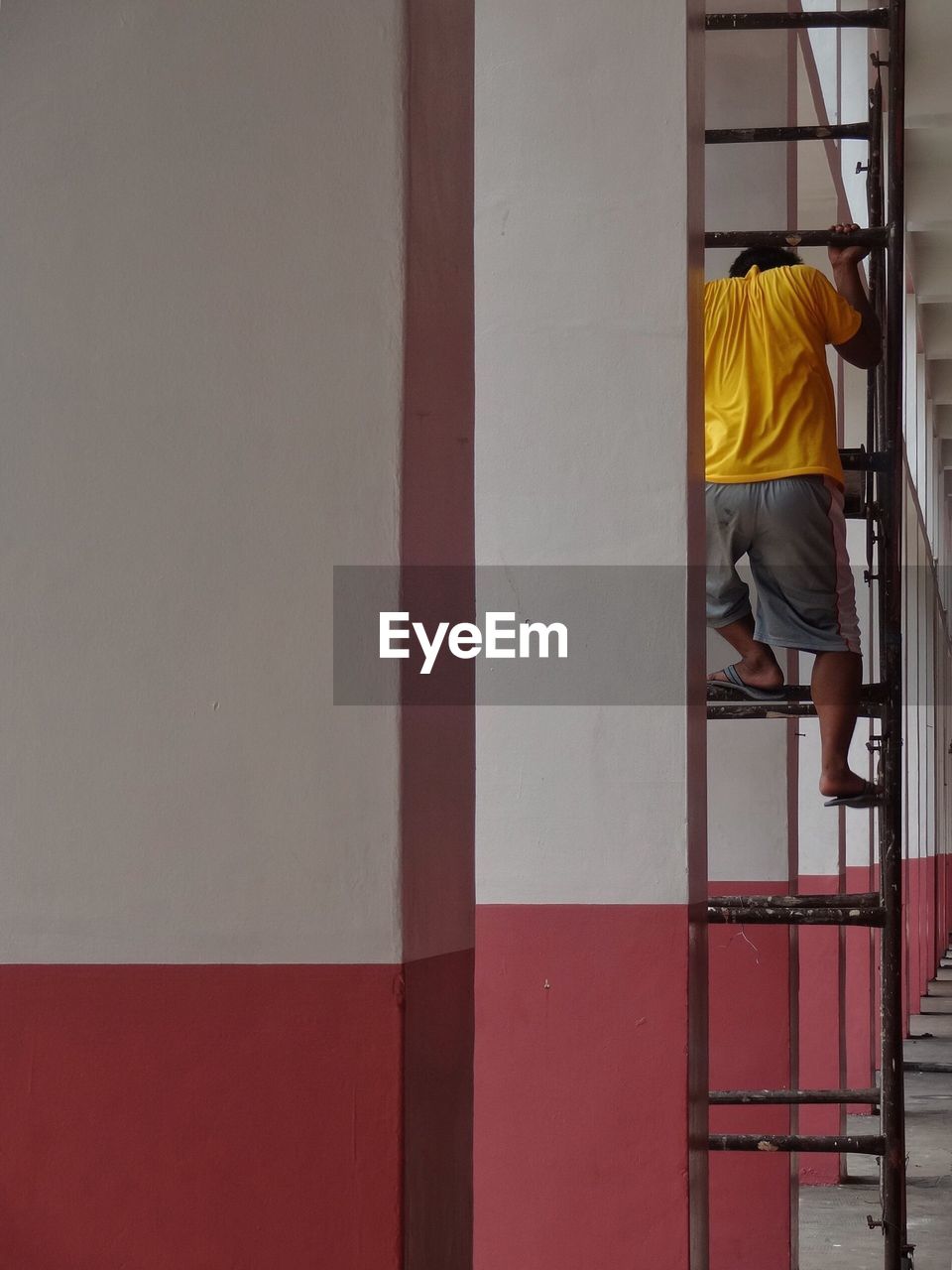 Painter on a ladder