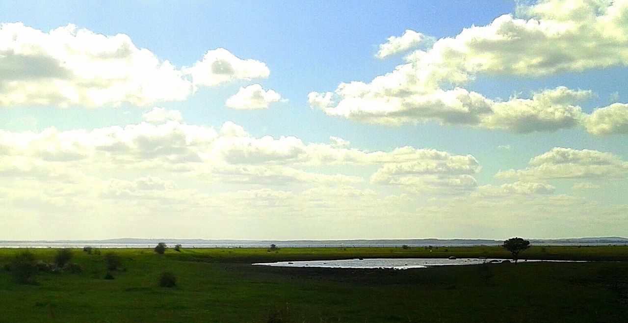 Scenic view of grassy field against cloudy sky