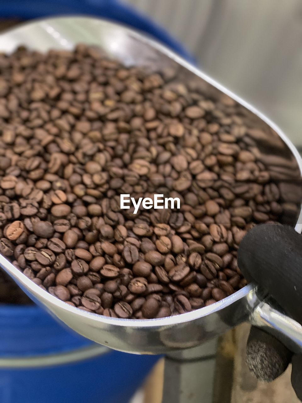 High angle view of coffee beans