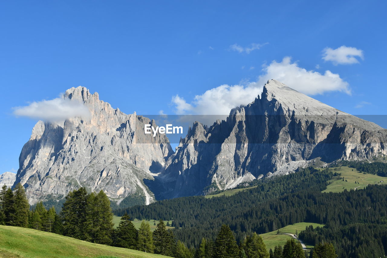 PANORAMIC VIEW OF TREES AND MOUNTAIN AGAINST SKY