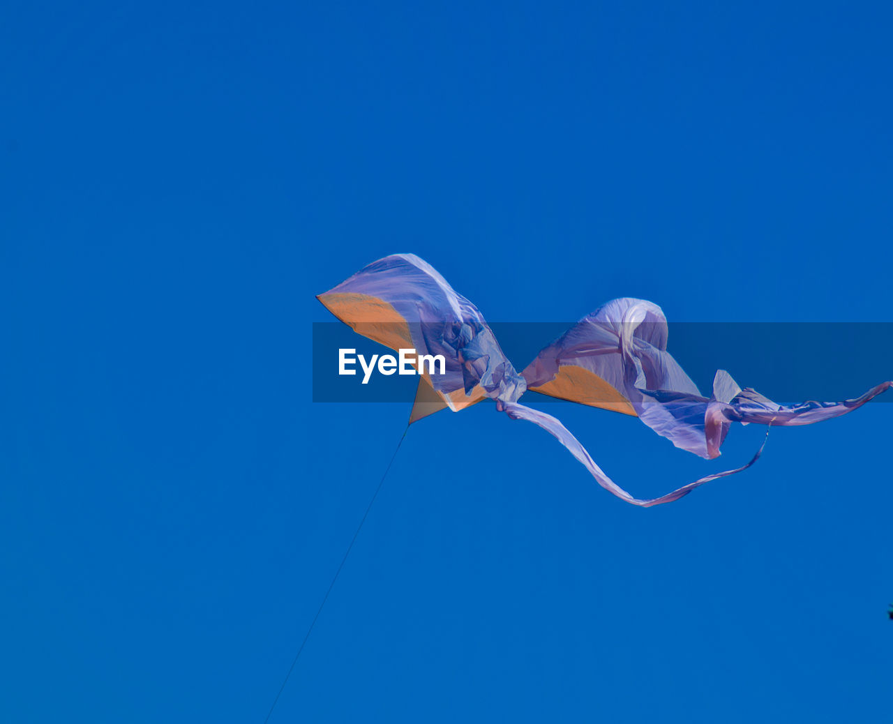 blue, sky, flying, nature, animal, copy space, kite sports, clear sky, animal themes, windsports, no people, wing, mid-air, animal wildlife, blue background, outdoors, sports, wildlife, one animal, colored background, low angle view, kite - toy