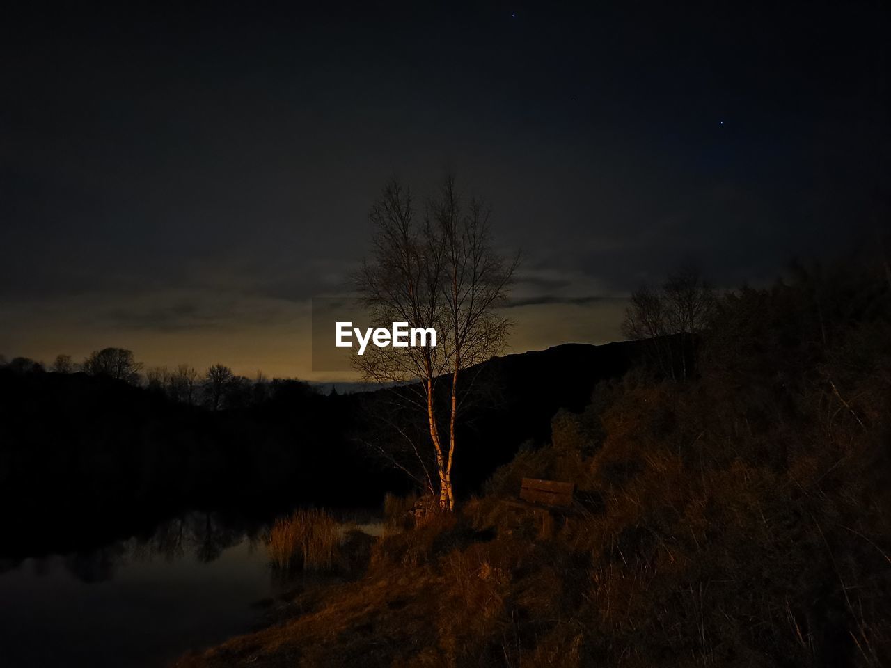 SILHOUETTE TREES ON LANDSCAPE AGAINST SKY AT NIGHT