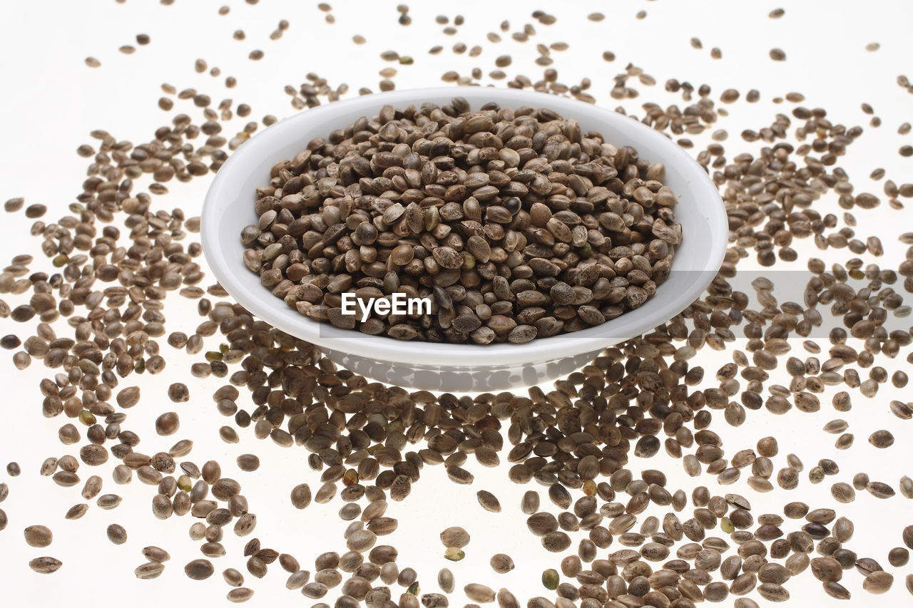 High angle view of seeds in bowl over white background