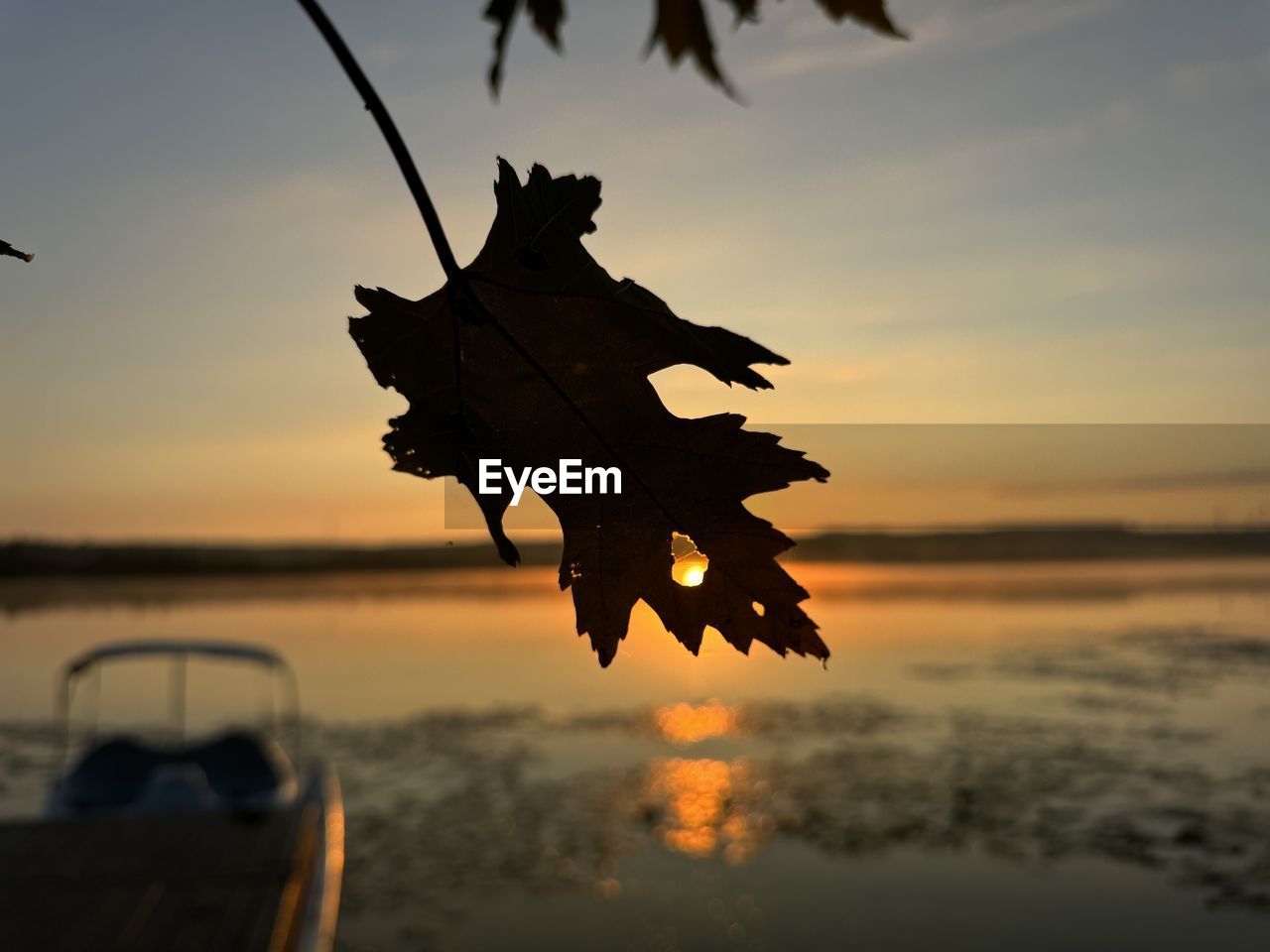 reflection, cloud, sky, sunset, nature, leaf, water, plant part, silhouette, sunlight, no people, beauty in nature, transportation, tree, autumn, outdoors, tranquility, evening, plant, mode of transportation, orange color, light, lake