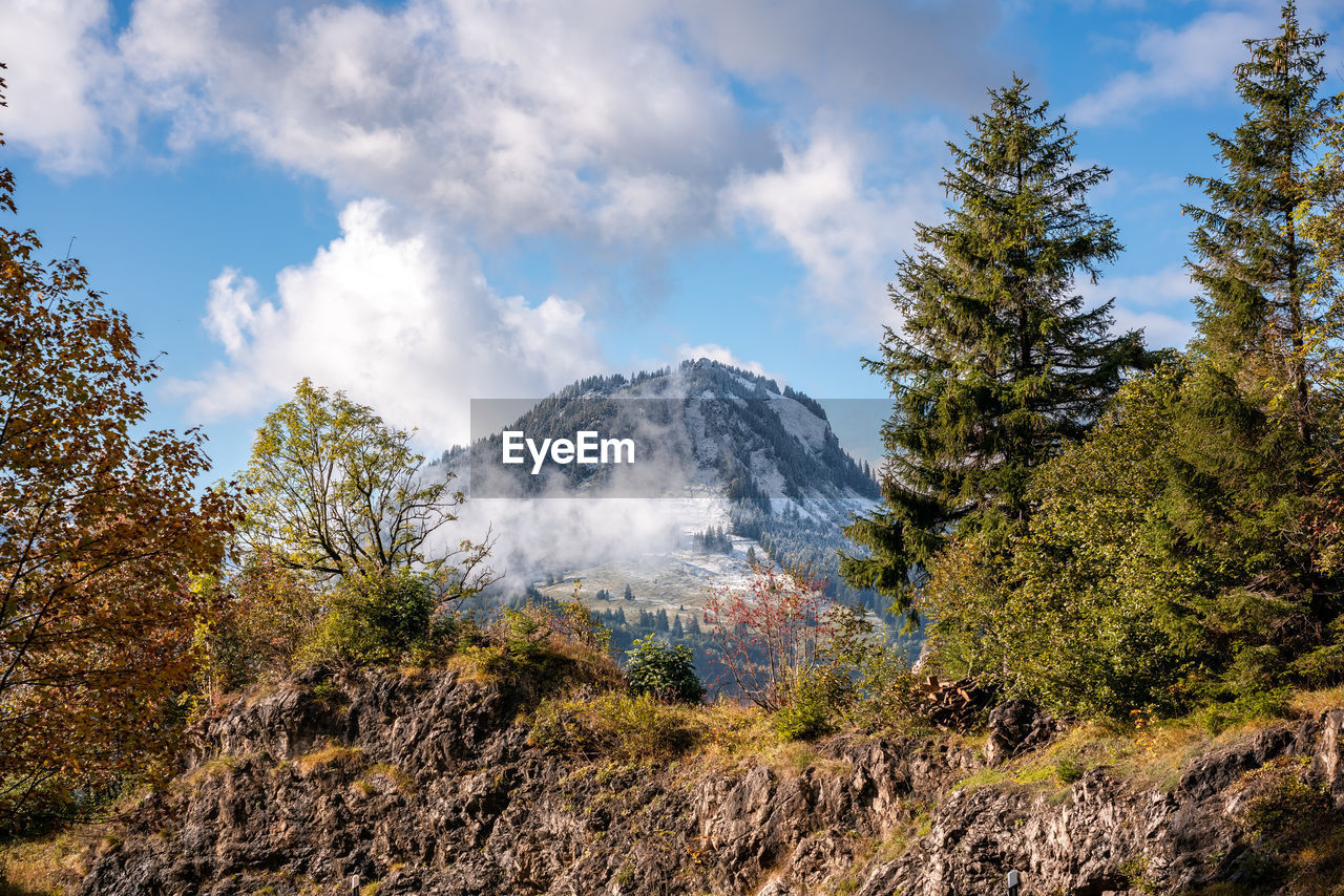 Scenic view of trees and mountains against sky