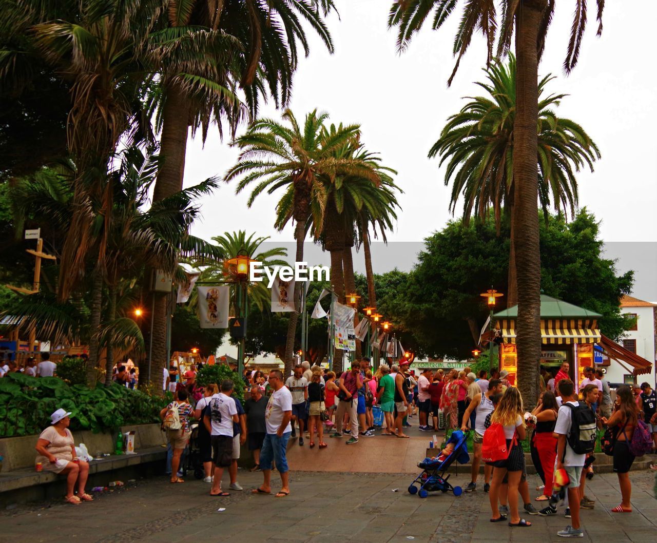 GROUP OF PEOPLE WALKING ON PALM TREES