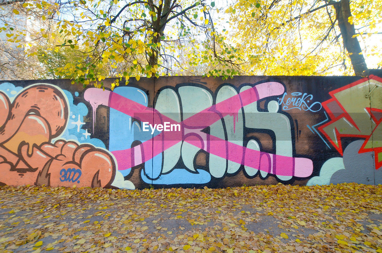 graffiti, creativity, art, multi colored, tree, plant, street art, day, text, no people, painting, western script, nature, architecture, outdoors, communication, wall - building feature, built structure, autumn, wall, representation, city, park, mural
