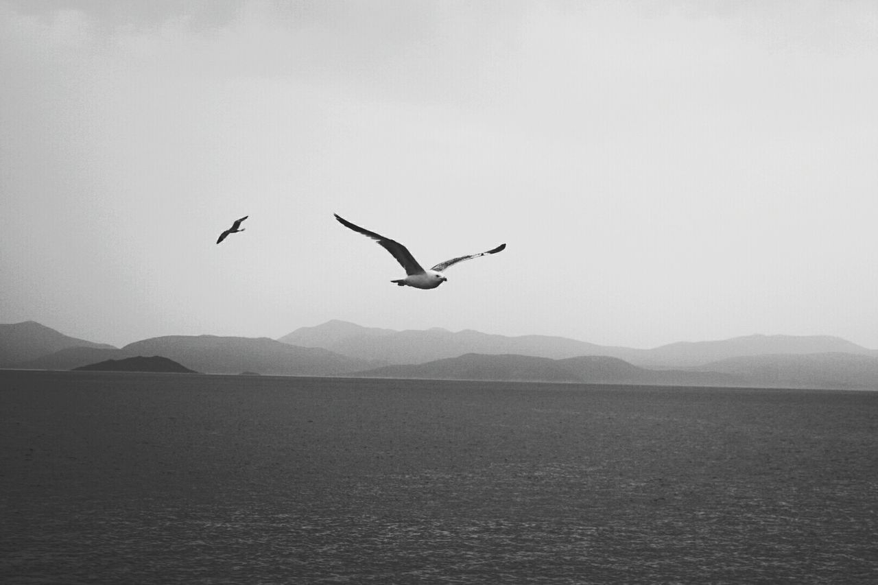 BIRD FLYING OVER LAKE AGAINST MOUNTAINS