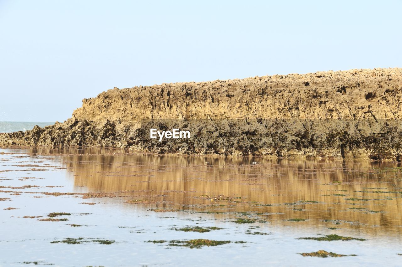 PLANTS GROWING ON ROCKS AGAINST SKY