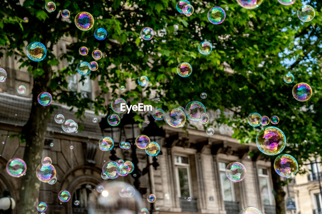 Bubbles in paris