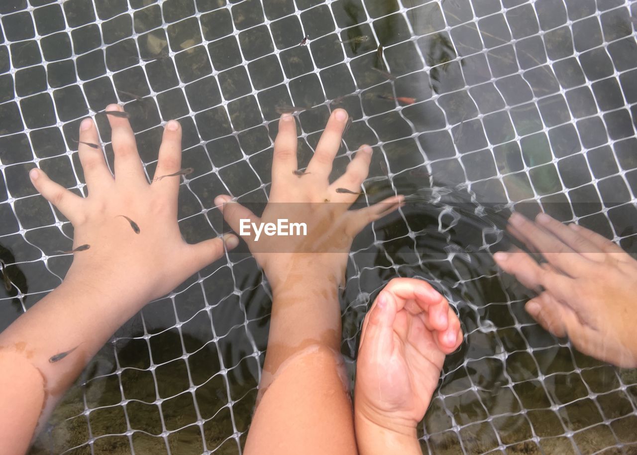 Cropped hands of people fishing in lake