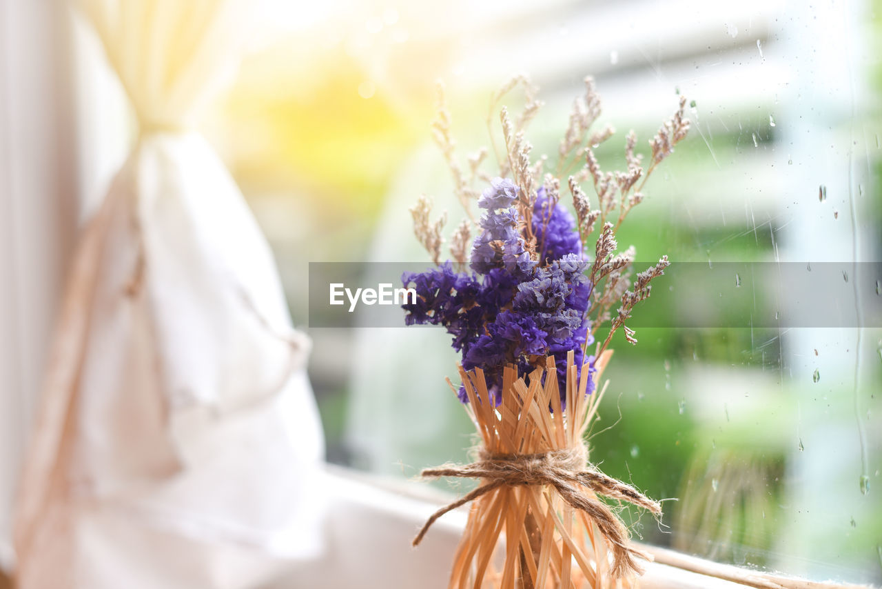 Beautiful purple bouquet of dried flowers in bamboo vase near the window sunset