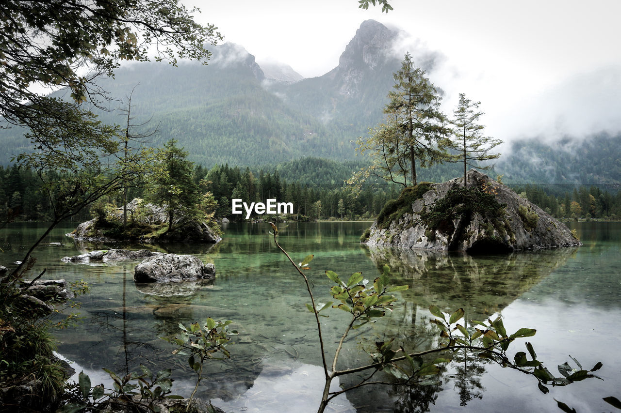 Scenic view of lake by trees against sky