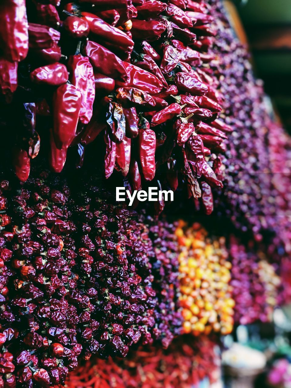 CLOSE-UP OF PINK FLOWER HANGING AT MARKET