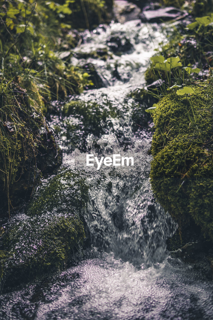 SCENIC VIEW OF WATERFALL IN FOREST